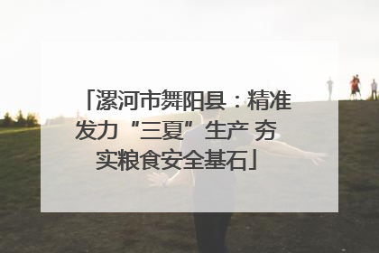 漯河市舞阳县：精准发力“三夏”生产 夯实粮食安全基石