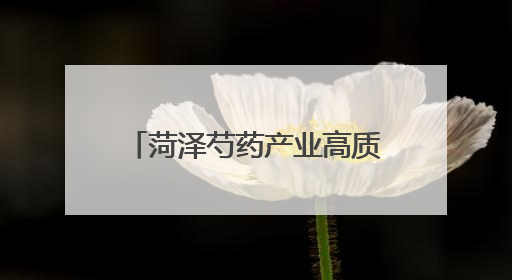 菏泽芍药产业高质量发展座谈会召开