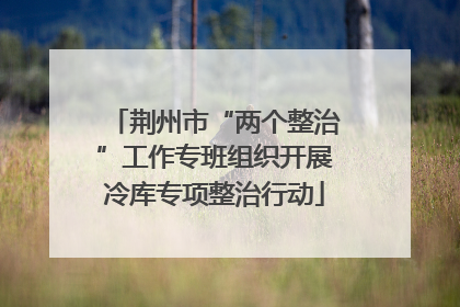 荆州市“两个整治”工作专班组织开展冷库专项整治行动
