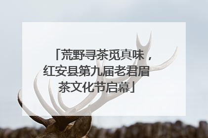 荒野寻茶觅真味，红安县第九届老君眉茶文化节启幕