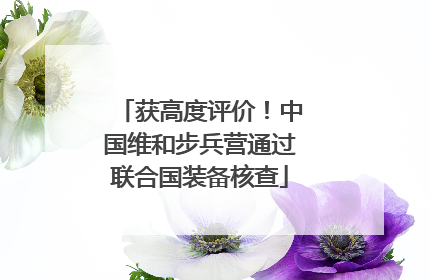 获高度评价！中国维和步兵营通过联合国装备核查