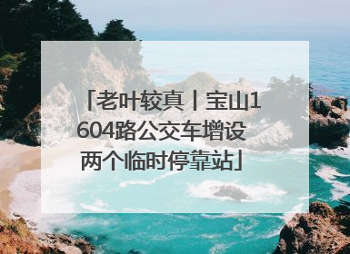 老叶较真丨宝山1604路公交车增设两个临时停靠站