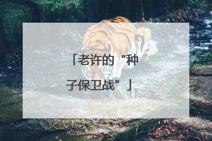 老许的“种子保卫战”