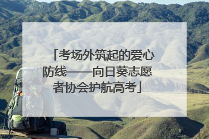 考场外筑起的爱心防线——向日葵志愿者协会护航高考