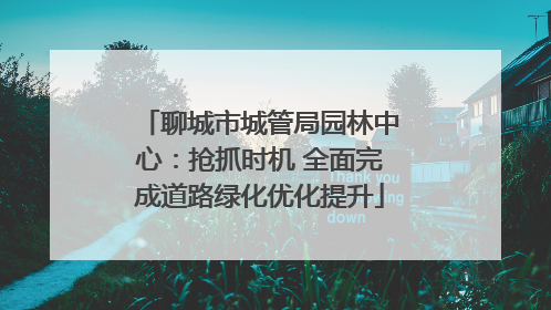聊城市城管局园林中心：抢抓时机 全面完成道路绿化优化提升