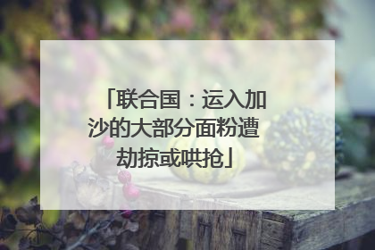 联合国：运入加沙的大部分面粉遭劫掠或哄抢