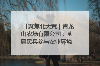 聚焦北大荒｜青龙山农场有限公司：基层民兵参与农业环境综合治理显效
