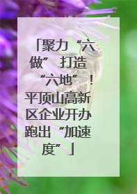 聚力“六做” 打造“六地”！平顶山高新区企业开办跑出“加速度”
