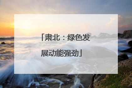 肃北：绿色发展动能强劲