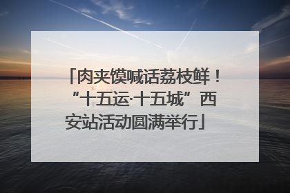 肉夹馍喊话荔枝鲜！“十五运·十五城”西安站活动圆满举行