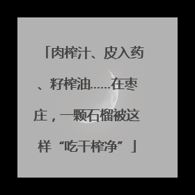 肉榨汁、皮入药、籽榨油……在枣庄，一颗石榴被这样“吃干榨净”