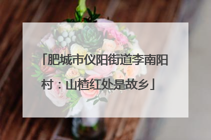 肥城市仪阳街道李南阳村：山楂红处是故乡