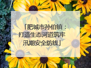 肥城市孙伯镇：打造生态河道筑牢汛期安全防线