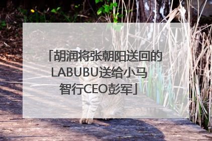 胡润将张朝阳送回的LABUBU送给小马智行CEO彭军