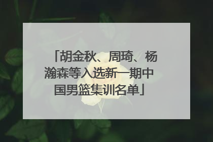 胡金秋、周琦、杨瀚森等入选新一期中国男篮集训名单