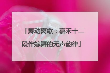 舞动离歌：嘉禾十二段伴嫁舞的无声韵律