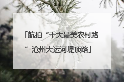 航拍“十大最美农村路”沧州大运河堤顶路