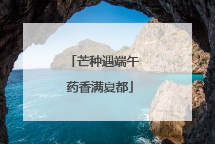 芒种遇端午 药香满夏都