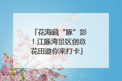 花海藏“豚”影！江豚湾景区创意花田邀你来打卡