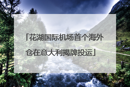 花湖国际机场首个海外仓在意大利揭牌投运