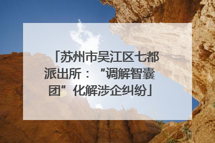 苏州市吴江区七都派出所：“调解智囊团”化解涉企纠纷