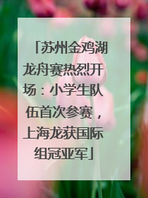 苏州金鸡湖龙舟赛热烈开场：小学生队伍首次参赛，上海龙获国际组冠亚军