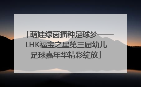 萌娃绿茵播种足球梦——LHK福宝之星第三届幼儿足球嘉年华精彩绽放