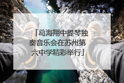 葛海翔中提琴独奏音乐会在苏州第六中学精彩举行