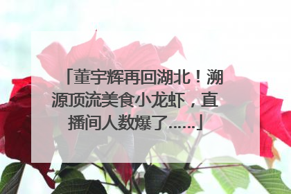 董宇辉再回湖北！溯源顶流美食小龙虾，直播间人数爆了……