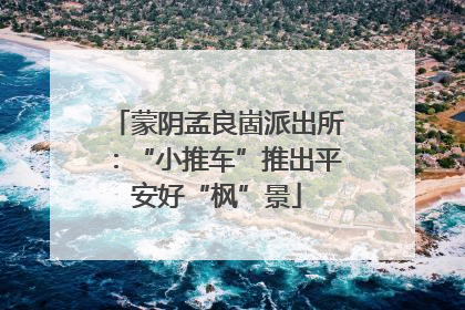 蒙阴孟良崮派出所：“小推车”推出平安好“枫”景