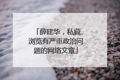 薛建华，私藏、浏览有严重政治问题的网络文章