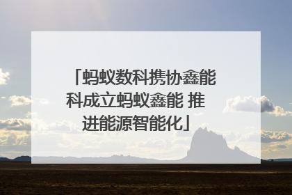蚂蚁数科携协鑫能科成立蚂蚁鑫能 推进能源智能化