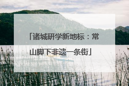 诸城研学新地标：常山脚下非遗一条街