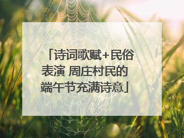 诗词歌赋+民俗表演 周庄村民的端午节充满诗意