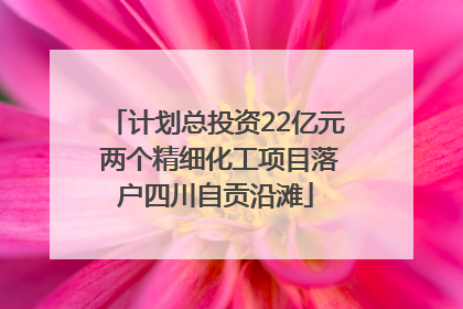 计划总投资22亿元 两个精细化工项目落户四川自贡沿滩