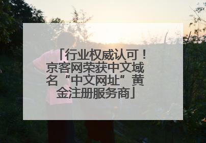 行业权威认可！京客网荣获中文域名“中文网址”黄金注册服务商