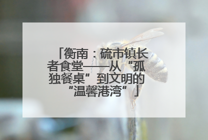衡南：硫市镇长者食堂——从“孤独餐桌”到文明的“温馨港湾”
