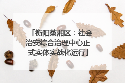 衡阳蒸湘区：社会治安综合治理中心正式实体实战化运行