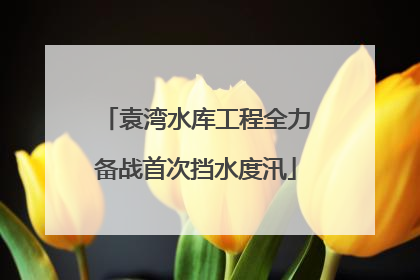 袁湾水库工程全力备战首次挡水度汛