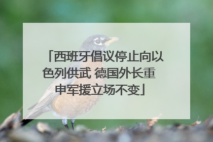 西班牙倡议停止向以色列供武 德国外长重申军援立场不变