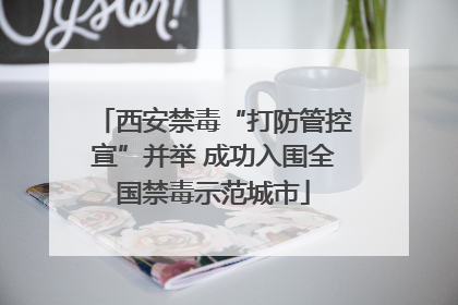 西安禁毒“打防管控宣”并举 成功入围全国禁毒示范城市