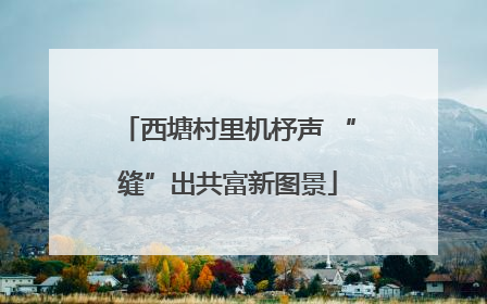 西塘村里机杼声 “缝”出共富新图景