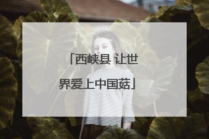 西峡县 让世界爱上中国菇