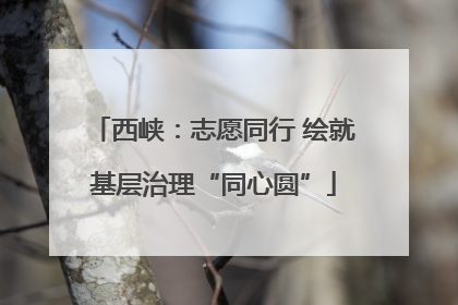 西峡：志愿同行 绘就基层治理“同心圆”