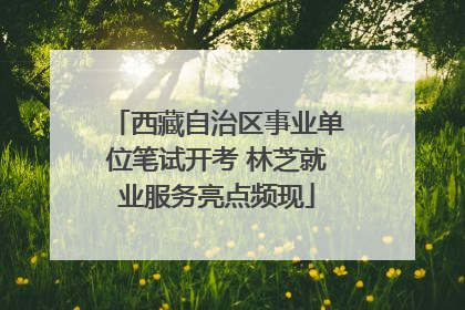 西藏自治区事业单位笔试开考 林芝就业服务亮点频现