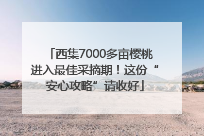 西集7000多亩樱桃进入最佳采摘期！这份“安心攻略”请收好