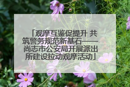 观摩互鉴促提升 共筑警务规范新基石——尚志市公安局开展派出所建设拉动观摩活动