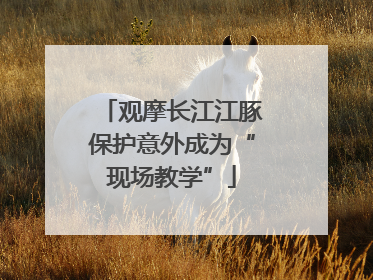 观摩长江江豚保护意外成为“现场教学”