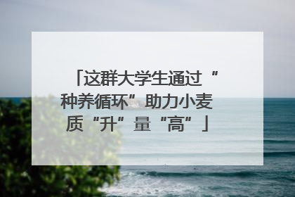 这群大学生通过“种养循环”助力小麦质“升”量“高”