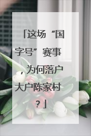 这场“国字号”赛事，为何落户大户陈家村？